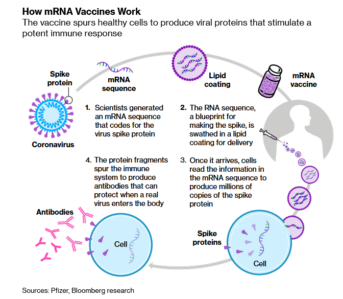 mRNA3